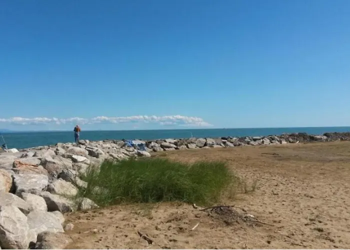 Family Comfort In - Beahost